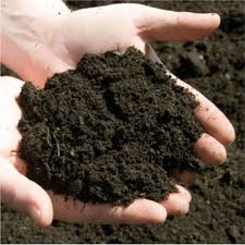 Vermicompost + Black Soil